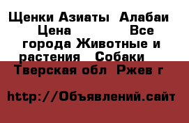 Щенки Азиаты (Алабаи) › Цена ­ 20 000 - Все города Животные и растения » Собаки   . Тверская обл.,Ржев г.